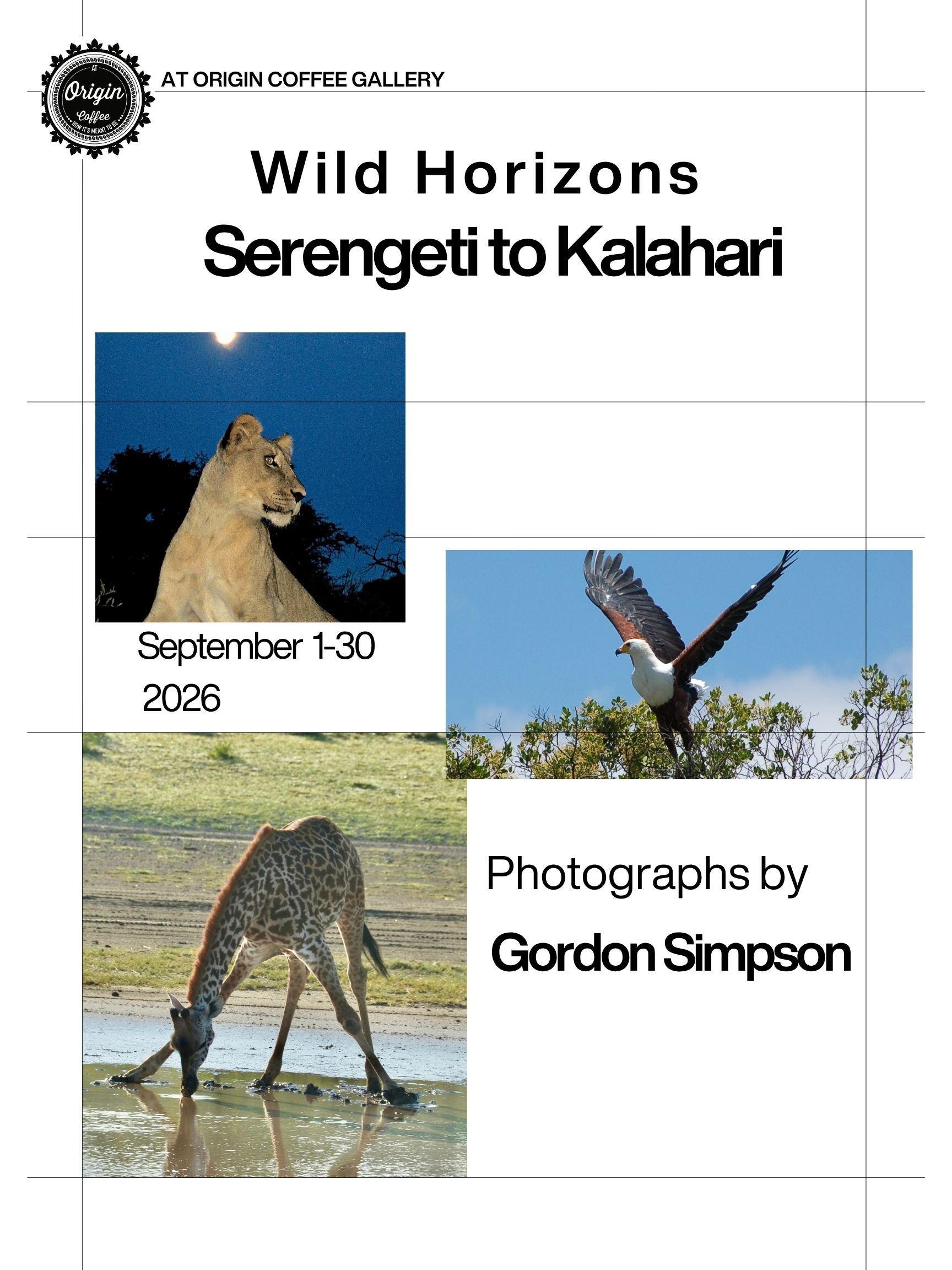 Wild Horizons: Serengeti to Kalahari — exhibition poster